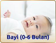 Bayi usia 0 hingga 6 bulan