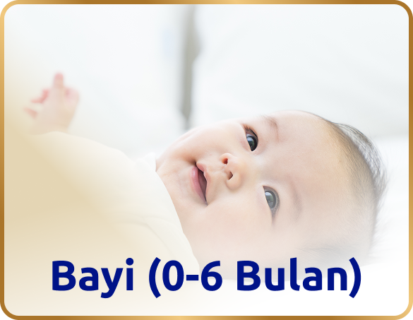 Bayi usia 0 hingga 6 bulan