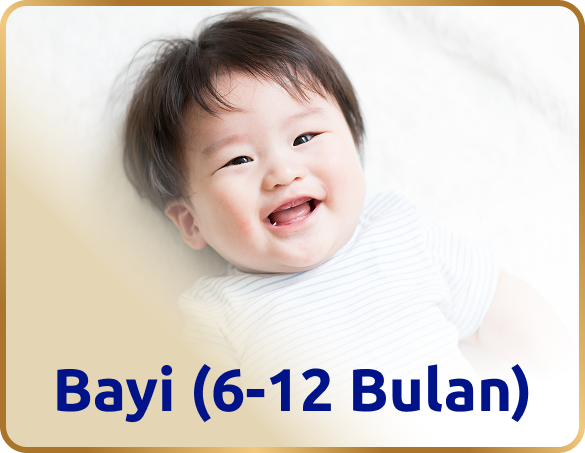 Bayi usia 6 hingga 12 bulan