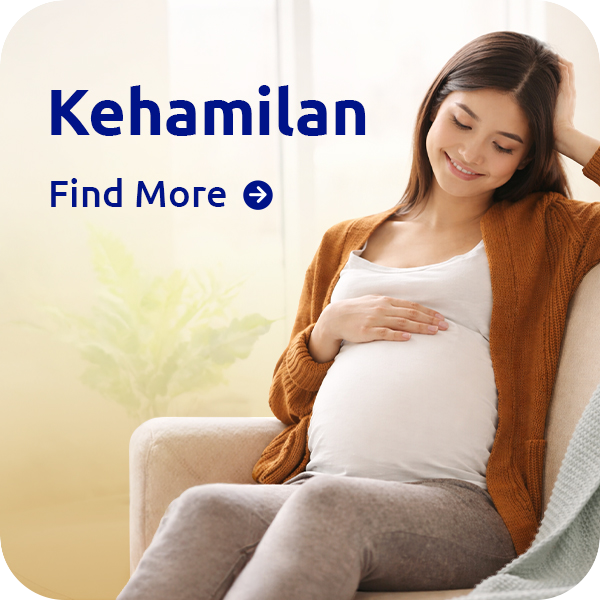 Kehamilan
