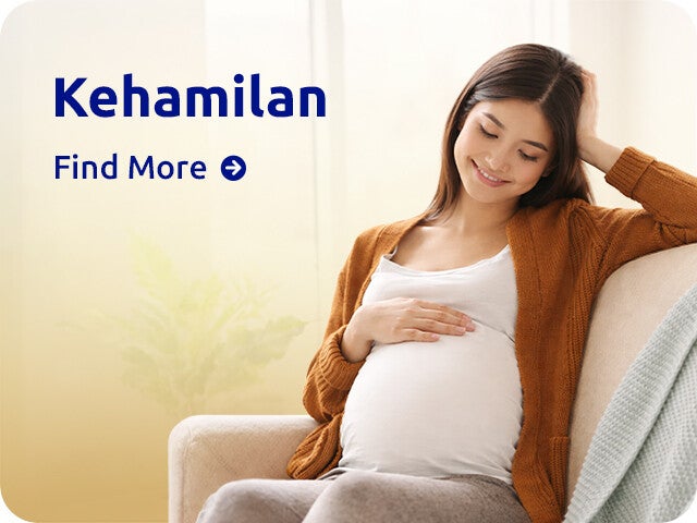 Kehamilan