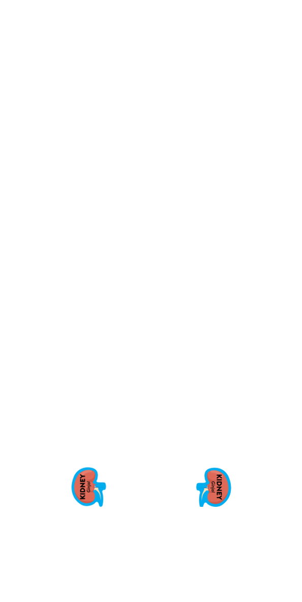 Ginjal