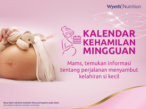 Kalendar Kehamilan Mingguan