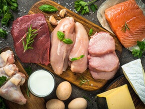 7 Sumber Protein Hewani untuk MPASI Manfaat Dan Cara Mengolahnya