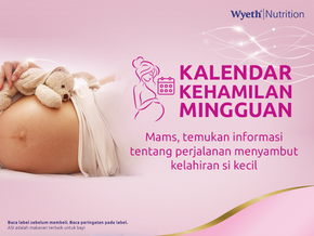 Kalendar Kehamilan Mingguan