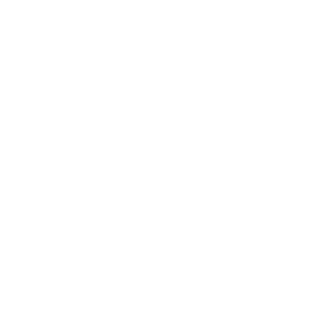 PREGNANCY