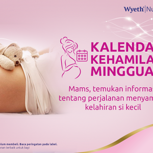 Kalendar Kehamilan Mingguan