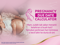 Pregnancy Due Date Calculator