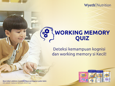 Working Memory Quiz