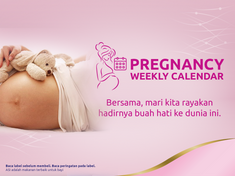 Pregnancy Weekly Calendar