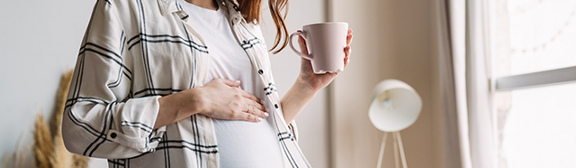 Hamil 11 Minggu – Trimester 1 Hamil 11 Minggu – Trimester 1