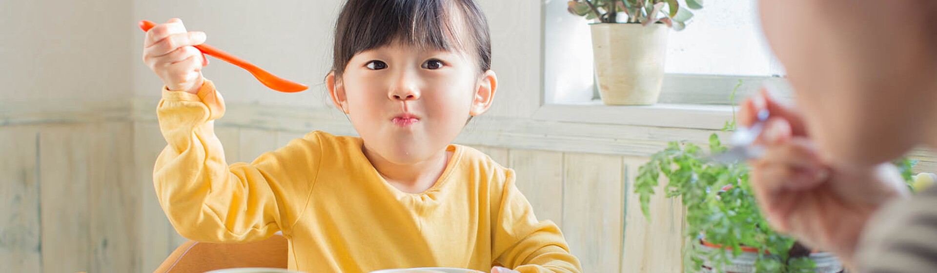 Nutrisi Perkembangan Otak Anak Nutrisi Perkembangan Otak Anak