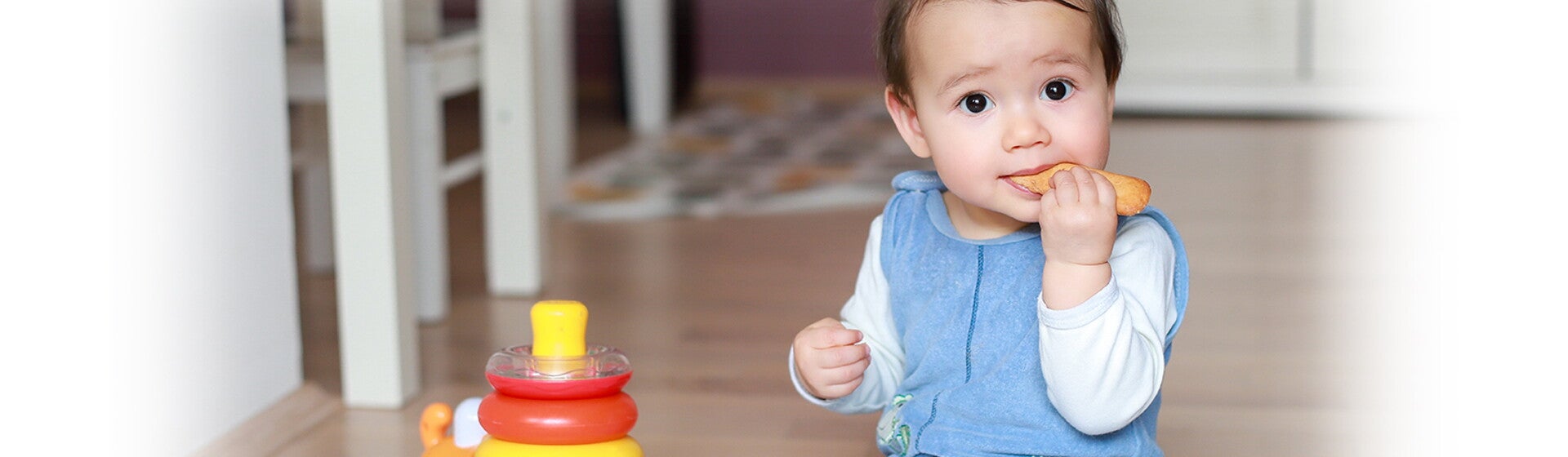 Makanan Genggam untuk Bayi 9-12 Bulan Makanan Genggam untuk Bayi 9-12 Bulan