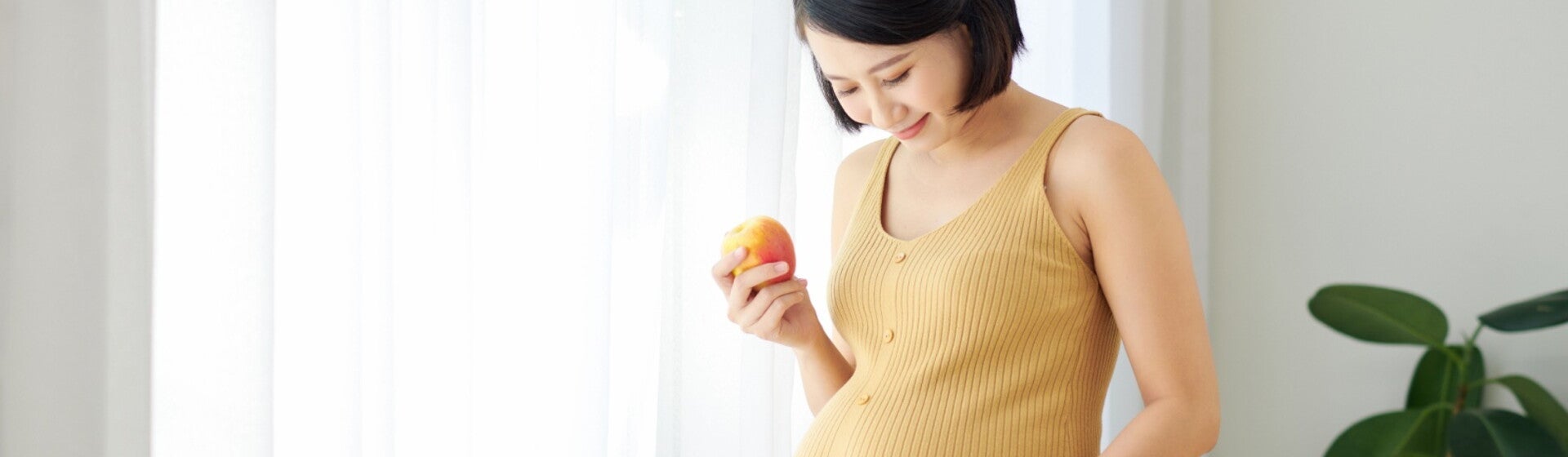 Peran Penting Zat Besi untuk Ibu Hamil.jpg Peran Penting Zat Besi untuk Ibu Hamil.jpg