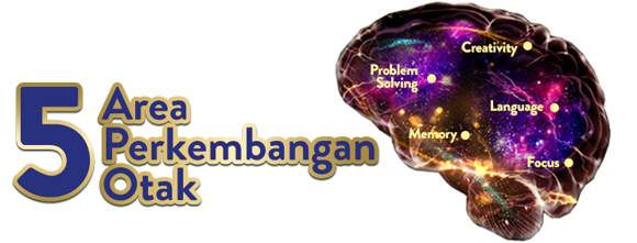 5 Area Perkembangan Otak 5 Area Perkembangan Otak