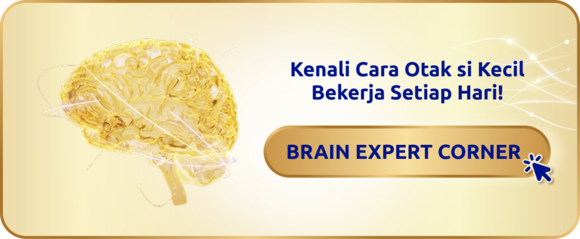 Brain Expert Corner