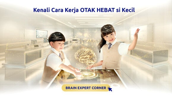 Brain Expert Corner