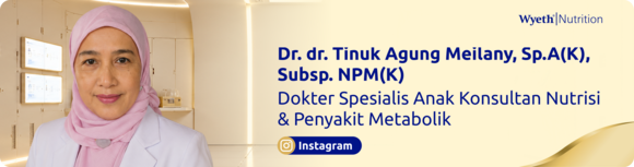 tinuk-agung_instagram-desktop-banner